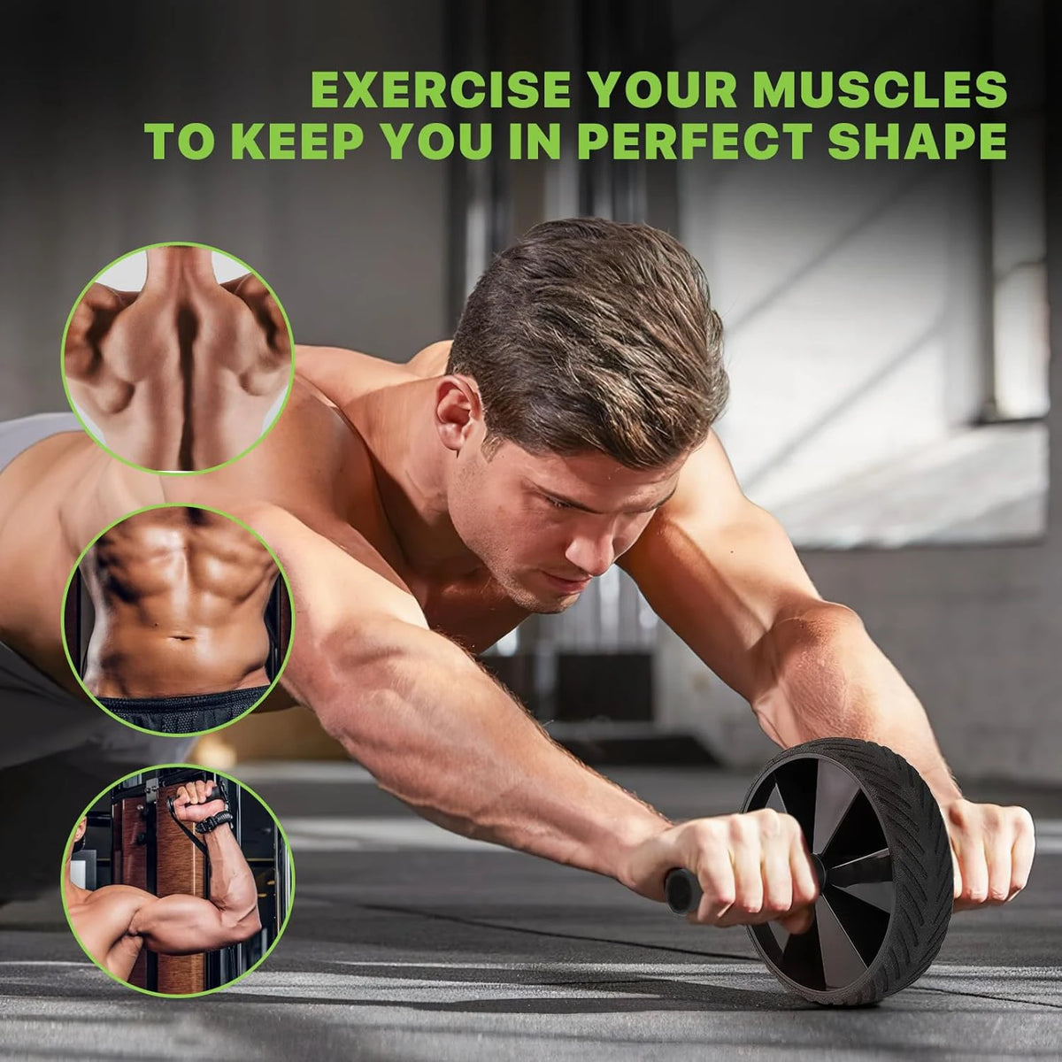 Ab Roller Wheel for Core Workout – Stable Dual-Wheel Design